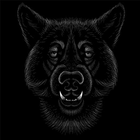 The Vector dog or wolf for tattoo or T-shirt design or outwear. Cute print style dog or wolf background. This hand drawing would be nice to make on the black fabric or canvasのイラスト素材