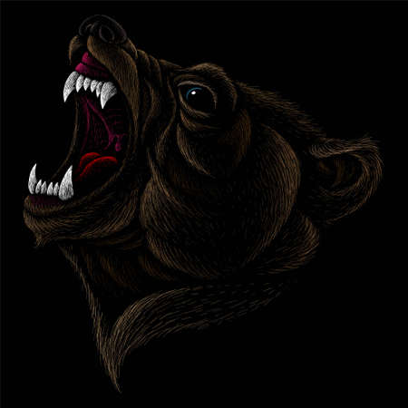 The Vector bear for T-shirt design or outwear. Hunting style bear background. This drawing would be...