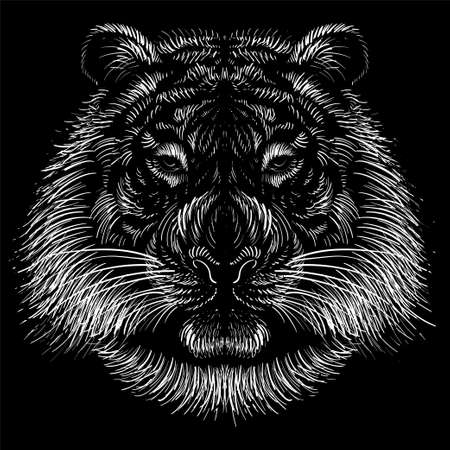 The Vector  tiger for tattoo or T-shirt design or outwear. Hunting style big cat print on black background. This hand drawing is for black fabric or canvasのイラスト素材
