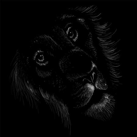 The Vector lion for tattoo or T-shirt print design or outwear. Hunting style lions background. This hand drawing would be nice to make on the black fabric or canvasのイラスト素材