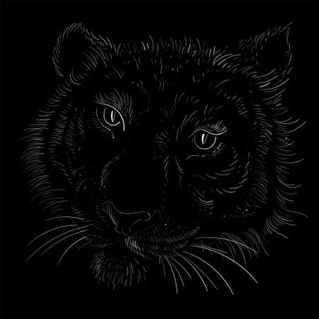 The Vector logo tiger for tattoo or T-shirt design or outwear. Hunting style big cat print on black background. This hand drawing is for black fabric or canvasのイラスト素材