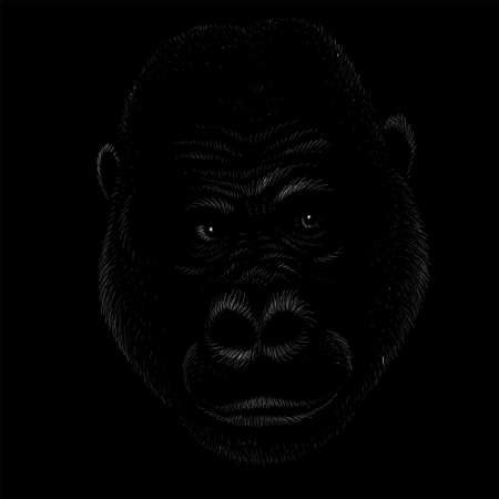 monkey or gorilla named King Kong for tattoo or T-shirt design or outwear. Cute print style a monkey or gorilla named King Kong background. This drawing would be nice to makeのイラスト素材