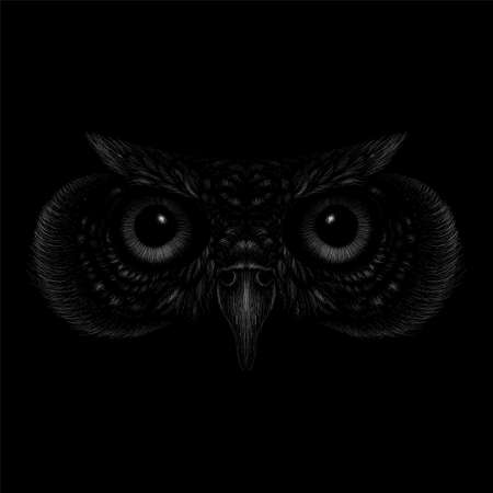 The Vector  owl for tattoo or T-shirt design or outwear. Hunting style owl background. This hand drawing would be nice to make on the black fabric or canvasのイラスト素材
