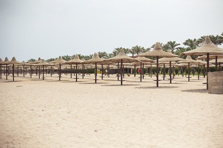 Tropical beach with umbrellas Red sea, hotel and resorton Egyptの写真素材