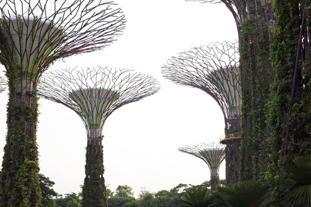 Singapore - 01 November 2014: Supertrees in garden by the bay at Bay South Singapore