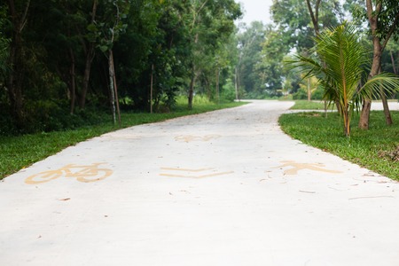 Bicycle treadmill road in tropic green parkの写真素材