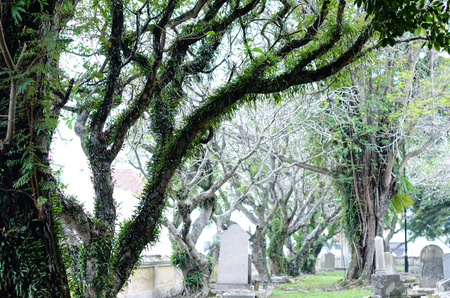 Green Cemetery in Malaysia