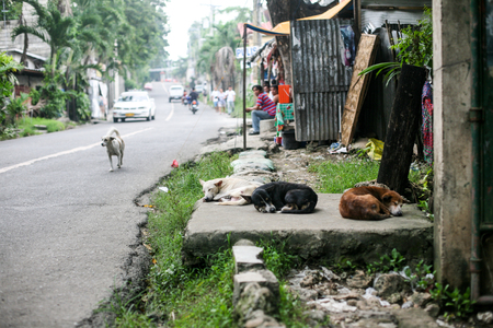 Everyday life of filipinos in Cebu city Philippinesのeditorial素材