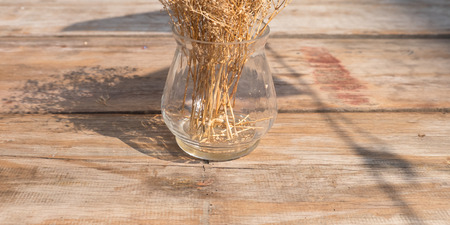 Vase of dry flower on the tableの写真素材