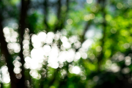 Abstract circle bokeh from daylight in natureの写真素材