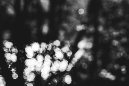 Abstract circle bokeh from daylight in nature. with grainyの写真素材