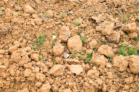 Loosen soil with grass patch backgroundの写真素材