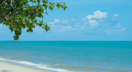 Seascape beach and blue skyの写真素材