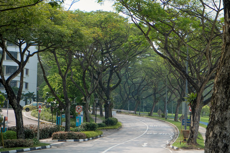 SINGAPORE - SEPTEMBER 19: Green shady of Singapore in Nanyang Technological University on 19 September. NTU ranked 4th in QS World University Rankings Asia.のeditorial素材