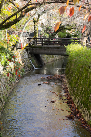 Philosopher's Walk in autumn, kyotoの写真素材