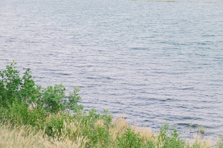 Small grove in lakesideの写真素材