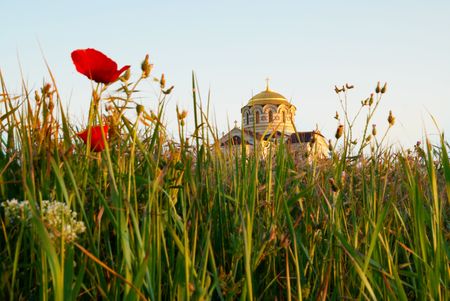 Temple and the poppy.の写真素材