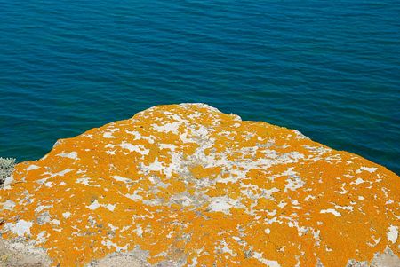 Texture of lichen on the stone and the sea.の写真素材