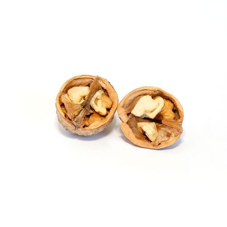 Two halves of walnut isolated on white.の写真素材