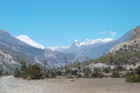 Tibetan road with firs in Himalayan mountain and blue sky.の写真素材