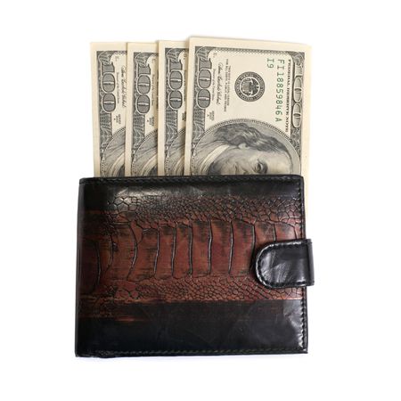 Purse with dollars isolated on white backgroundの写真素材