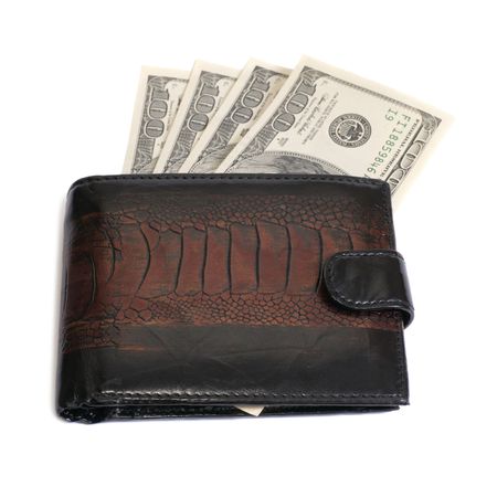 Purse with dollars isolated on white backgroundの写真素材