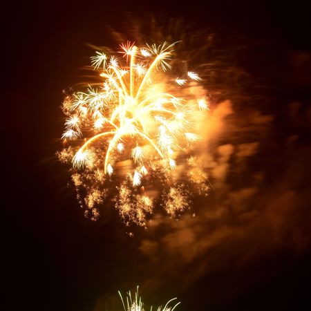 Beautiful fireworks on the black sky background