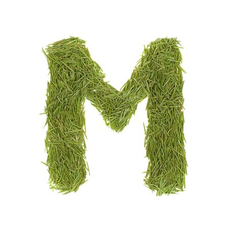 Green alphabet, letter M isolated on whiteの写真素材