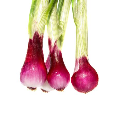 Bunch of young onions isolated on whiteの写真素材