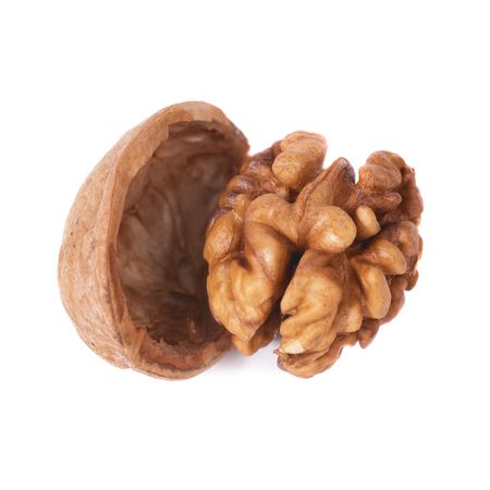 Walnut and shell isolated on white backgroundの写真素材