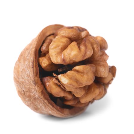 Walnut and shell isolated on white backgroundの写真素材