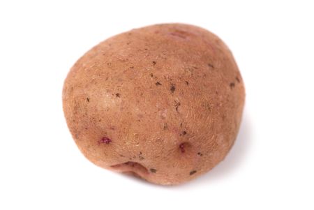 One ripe potato isolated on the white backgroundの写真素材