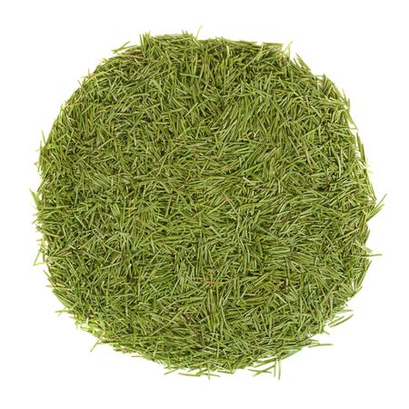 Circle stack of green needles isolated on whiteの写真素材