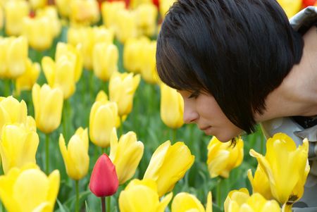 Pretty girl with tulips with soft backgroundの写真素材