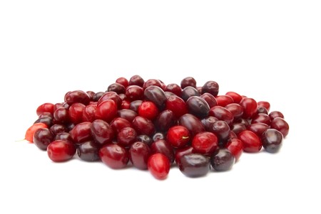Heap of red cornel dogwood isolated on white backgroundの写真素材