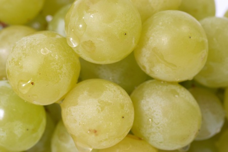 White grapes with water drops. Studio macro shotの写真素材