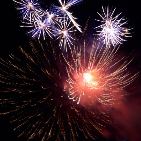 Fireworks, salute with the black sky backgroundの写真素材