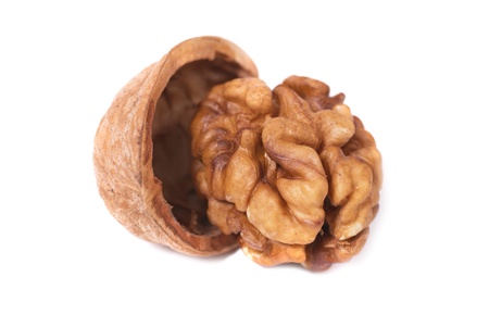 Walnut and shell isolated on white backgroundの写真素材