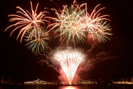 Colorful fireworks on the black sky backgroundの写真素材