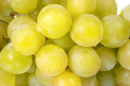 White grapes with water drops. Studio macro shotの写真素材
