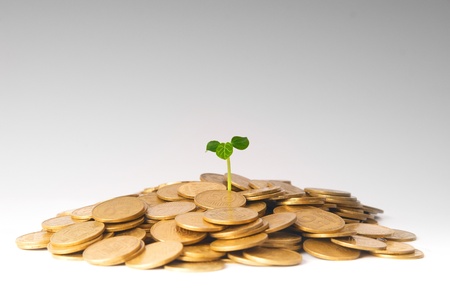Green plant growing from the coins. Money financial concept.の写真素材