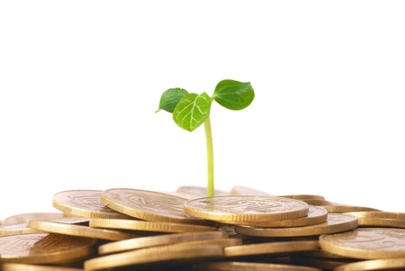 Green plant growing from the coins. Money financial concept.の写真素材