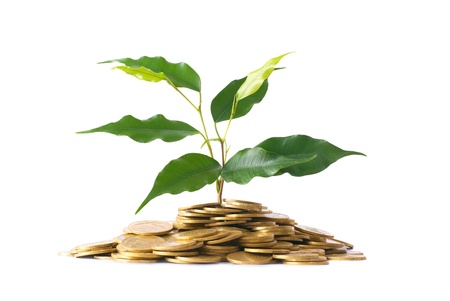 Green plant growing from the coins. Money financial concept.の写真素材