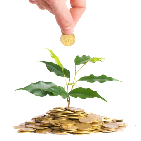 Hand and green plant growing from the coins. Money financial concept.の写真素材