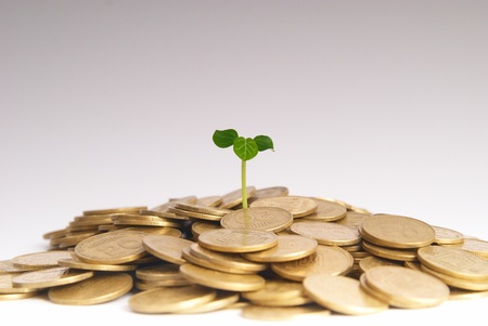 Green plant growing from the coins. Money financial concept.の写真素材