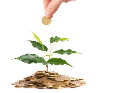 Hand and green plant growing from the coins. Money financial concept.の写真素材
