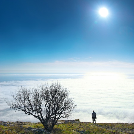 Lonely tree with clouds and blue sunny skyの写真素材