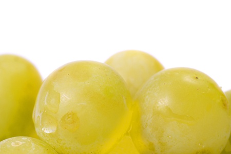 White grapes with water drops. Studio macro shotの写真素材