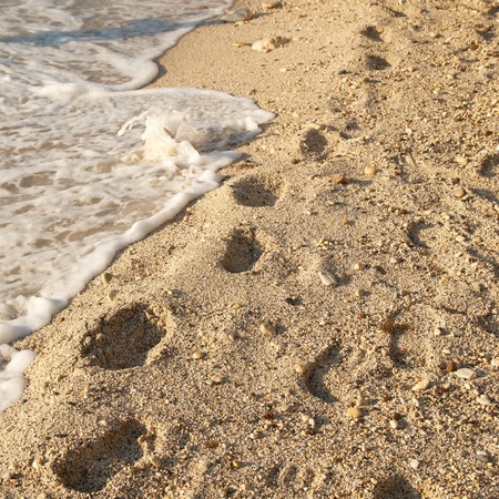 Footprints on the golden sandy tropical beachの写真素材
