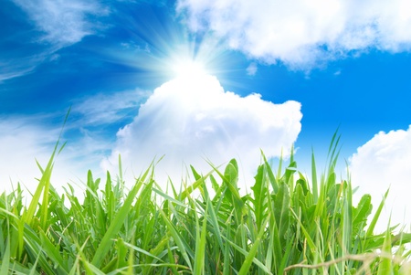 Green grass with cloudy sky in the sunny dayの写真素材